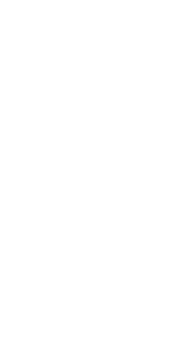 Sword with a coiled snake and the word "Villon" above it.